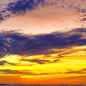 Meet your Posher, Drew